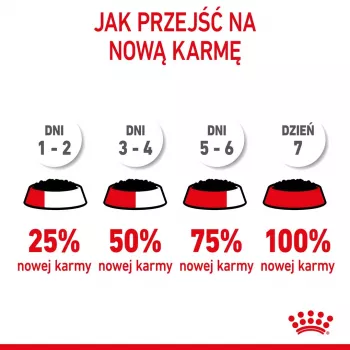 Royal Canin FHN Kitten Sterilised cibo umido per gatti in salsa, confezione da 12 x 85 g