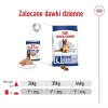 ROYAL CANIN SHN Maxi Ageing Loaf scatoletta 410 g