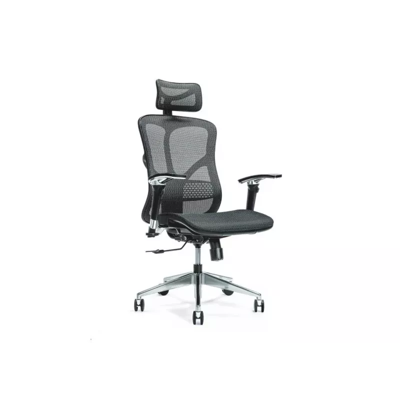 Sedia da ufficio ergonomica ERGO 500 nero