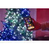 TWINKLY Strings 250 Special Edition (TWS250SPP-BEU) luci natalizie smart 250 LED RGB+W 20 m