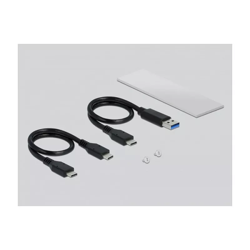 Case per SSD DeLOCK 42634 argento M.2