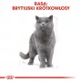 Cibo umido per gatti Royal Canin British Shorthair Adult sacchetto 85 g, pollo, ROYAL CANIN Feline Breed Nutrition