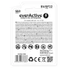Batteria ricaricabile everActive 6F22/9V Li-ion 550 mAh con USB TYPE C