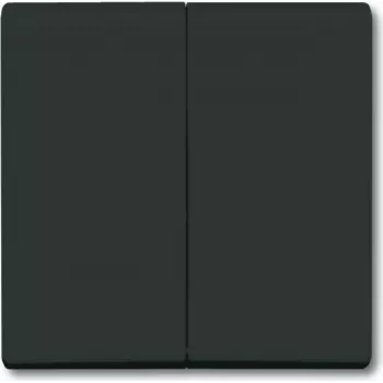 BUSCH JAEGER 2105-35 - nero - Busch-Jaeger - 70 mm - 70 mm - 1,3 cm - 1 pezzo