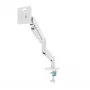 Supporto per monitor Gembird MA-DA1-04-W con morsetto per schermi 17-32 pollici, VESA 75x75–100x100, carico max. 10 kg, bianco