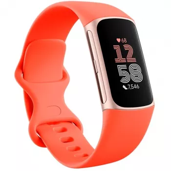 Fitbit Charge 6 - Champagne Gold alluminio - Activity tracker con Infinity Band - silicone - color corallo - NFC, Bluetooth - 37.64 g (40-56-7910)