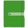 Quaderno Herlitz 11293099 A4 80 fogli verde