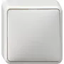 GIRA 010613 interruttore elettrico bianco (010613)