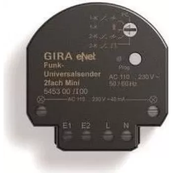 Trasmettitore universale wireless Mini 2 vie 545300 (545300)