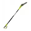 Potatore ad asta elettrico 750W 25cm/accessorio olio RYOBI