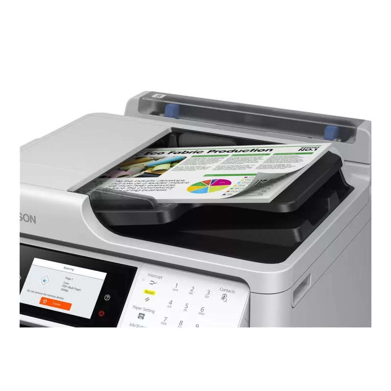 Epson C11CK19401BM stampante blu