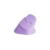 NATEC Crake 2 mouse universale destrimani RF Wireless + Bluetooth ottico 2400 DPI
