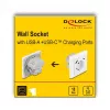 DeLOCK 11499 presa Tipo F con USB-A e USB-C bianco