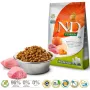 Crocchette per cani Farmina N&D Pumpkin BOAR & APPLE per cani adulti di taglia media e grande, 12 kg, senza cereali, 30 % proteine