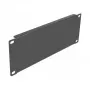 Pannello cieco DeLOCK armadio di rete 10 pollici 66661