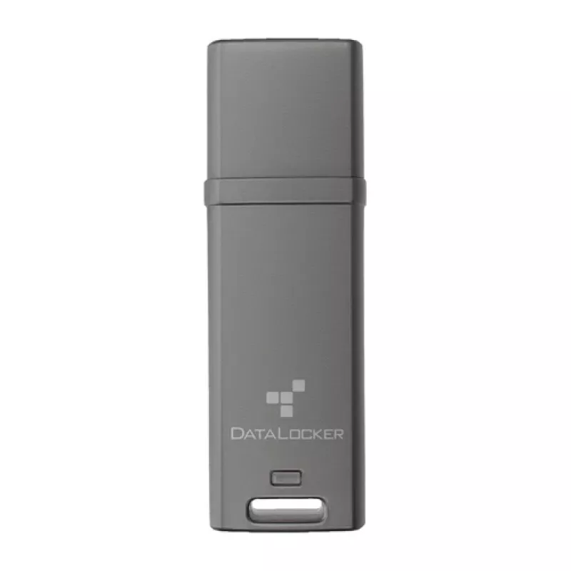 DataLocker DL GO DLGO-004 chiavetta USB da 4 GB, AES XTS a 256 bit, FIPS 197, MFA, assortito