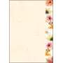 Sigel DP788 Flowerstyle carta con motivi, A4, 90 g/m2, 50 fogli