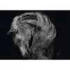 Puzzle Schmidt Spiele Ashley Rader Power Horse — 1000 pezzi, MPN 58543