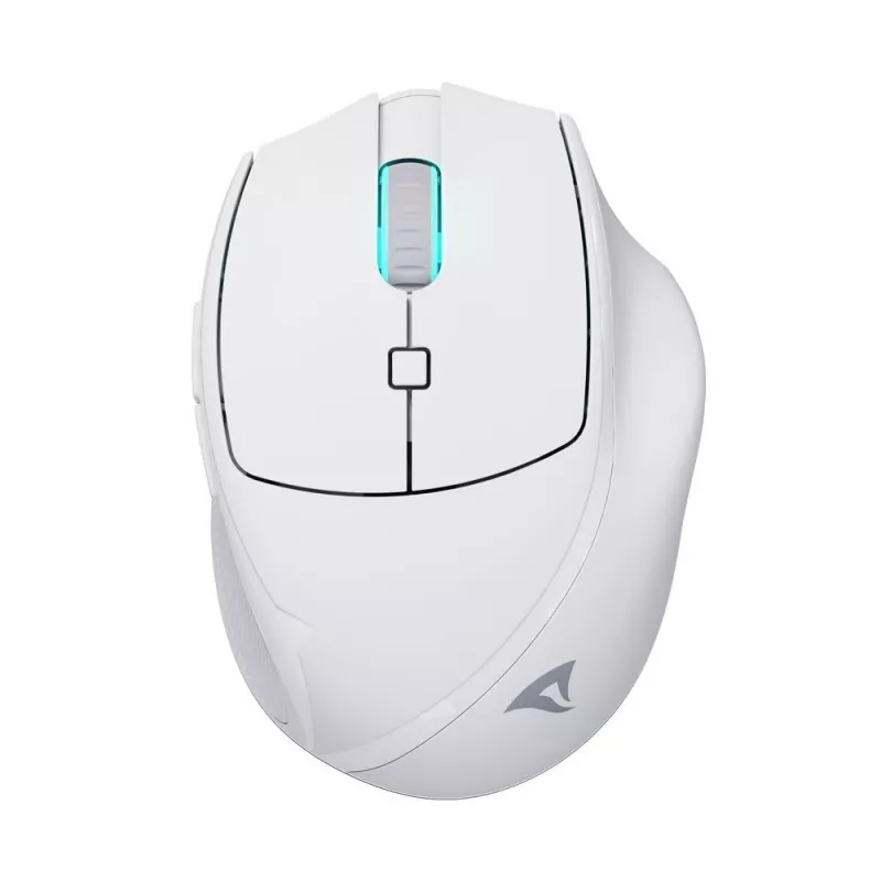 Sharkoon OfficePal M25W mouse da ufficio wireless, per destrorsi, 4000 DPI
