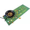 Set Deluxe - Roulette 25 cm, gioco da tavolo