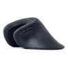 Gembird MUSW-ERGO-03 Mouse per uso domestico per destrorsi RF Wireless Ottico 1600 DPI