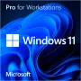 Windows 11 Pro for Workstations, software sistema operativo 64-Bit, tedesco, DVD-ROM