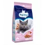 PREVITAL Senior al salmone cibo secco per gatti, 1,4 kg
