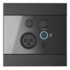 AUDAC WP225/B pannello a parete, microfono XLR + connettore femmina jack 3,5 mm, Bluetooth, nero