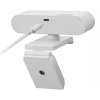 Webcam Lenovo GXC1D66063 2,8 MP 1920 x 1080 pixel USB-C grigia