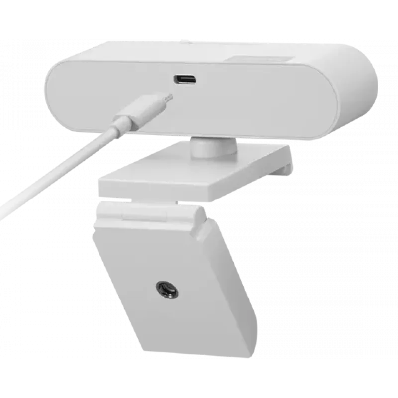 Webcam Lenovo GXC1D66063 2,8 MP 1920 x 1080 pixel USB-C grigia