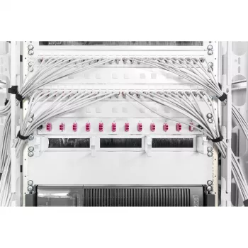 Pannello cieco Digitus DN-19 BPN-02