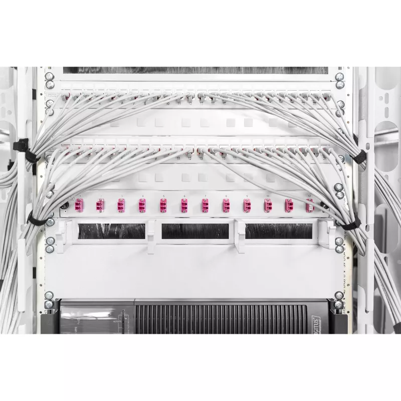 Pannello cieco Digitus DN-19 BPN-02