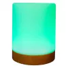 Luce ambientale RealPower 200 RGB con telecomando