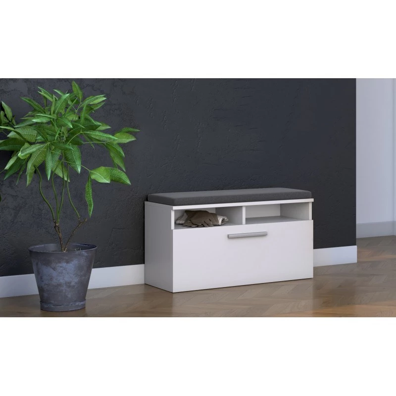 Sovrappensile scarpiere e shop RIVA SZAFKA BIEL — chiuso, bianco, truciolare, 850×460 mm