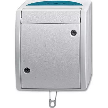 BUSCH JAEGER 2CKA001383A0141 - Interruttore a catena - argento - IP44 - RoHS CE - 250 V - 74 mm