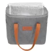 Borsa termica Adler AD 4523, capacità 10 L, morbida borsa frigo isolata per alimenti e bevande