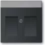 Busch Jaeger Placca centrale 1800-885 (1710-0-3910)