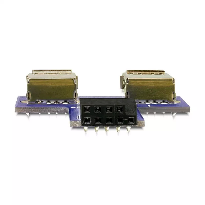 DeLOCK 9 poli 2,54 mm 2 x USB 2.0 1 x 9 poli 2,54 mm nero blu argento