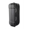 Esperanza EP157 BT FM LED RGB diffusore nero 10W