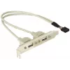 Staffa slot 1x USB 5 pin interno su 2x USB 2.0 esterno DeLOCK 71000