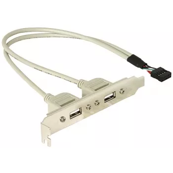 Staffa slot 1x USB 5 pin interno su 2x USB 2.0 esterno DeLOCK 71000