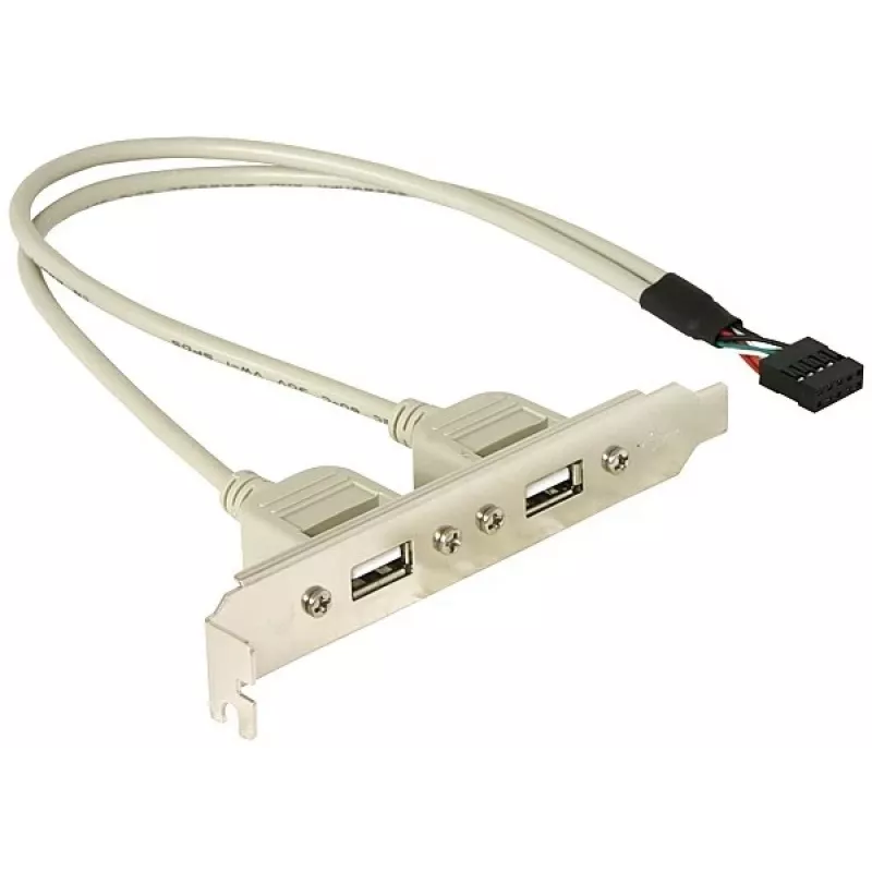 Staffa slot 1x USB 5 pin interno su 2x USB 2.0 esterno DeLOCK 71000