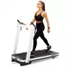 Tapis roulant elettrico HMS LOOP14 1-14 km/h