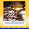 INABA Dashi Delights pollo con formaggio in brodo - snack per gatti - 70 g