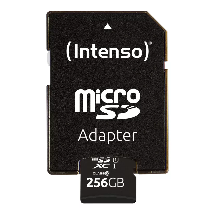 Memoria flash Intenso 256GB UHS-I Scheda MicroSD