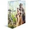 Raccoglitore ad anelli HERMA 20048 A4 multicolore anello a D cartone