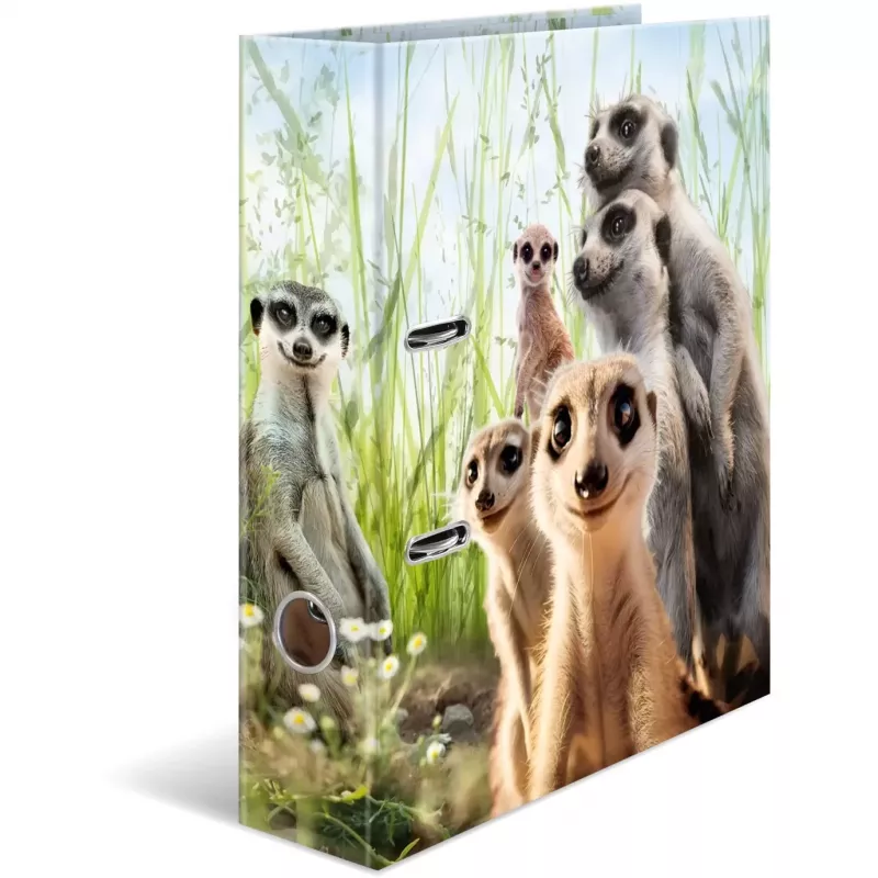 Raccoglitore ad anelli HERMA 20048 A4 multicolore anello a D cartone
