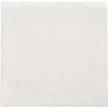 PAPSTAR tovaglioli Daily Collection bianco 2 veli 16,0 x 16,0 cm 150 pezzi (89636)