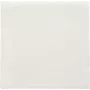 PAPSTAR tovaglioli Daily Collection bianco 2 veli 16,0 x 16,0 cm 150 pezzi (89636)