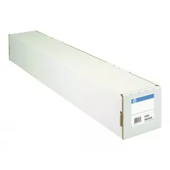 HP carta fotografica lucida rotolo 24 pollici 610 mm x 30,5 m 200 g/m²
